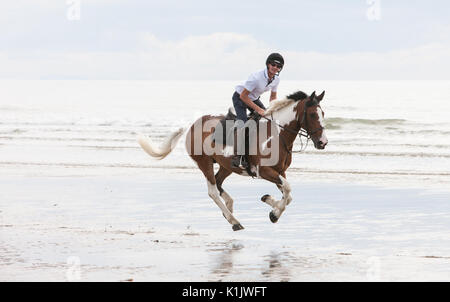 Riding,horses,horse,ponies,being,ridden,on,beach,at,Ynyslas,near,Borth,north,of,Aberystwyth,Ceredigion,Mid Wales,Wales,Welsh,U.K.,UK,GB,Europe, Stock Photo