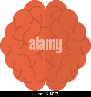 human brain topview icon image vector illustration design Stock Vector ...