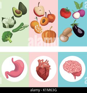 color banner poster with organs human body and shield check mark symbol ...