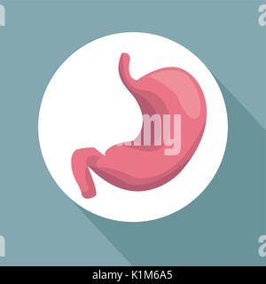 color background with circular frame stomach organ human body Stock Vector