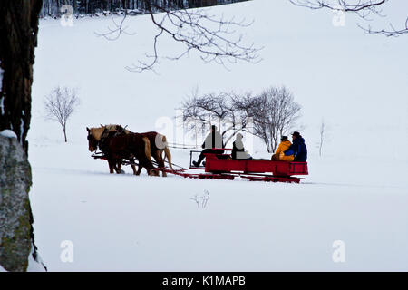 Horse drawn sleigh ride in the snow covered hills of Vermont, USA Stock Photo