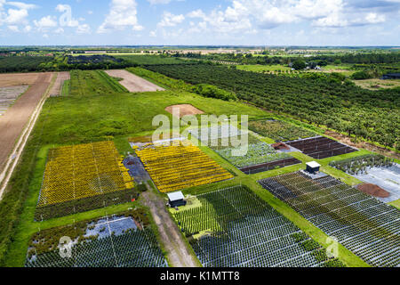 Miami Florida,Homestead,farmland,farm,nursery,aerial overhead view,FL17081875D Stock Photo