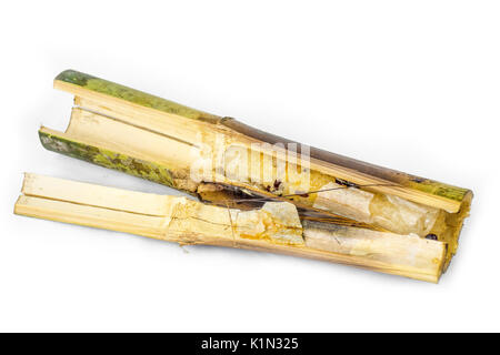 Sweet sticky rice in bamboo Stock Photo