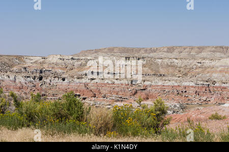 The Gooseberry Creek Badlands canyon with pink and cream stone in layers. A rabbitbrush plant with yellow flowers is in the foreground. Stock Photo