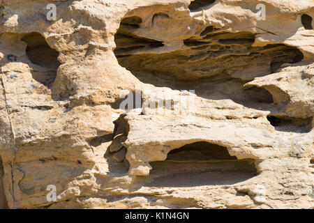 Close up of eroded, weathered sandstone with holes and defects. Photographed in natural light. Stock Photo