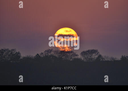 An amazing shot of a dramatic sunset over a field Stock Photo - Alamy