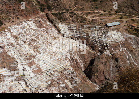 Maras Salt Mines workers harvesting, Peru Stock Photo