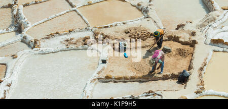 Maras Salt Mines workers harvesting, Peru Stock Photo