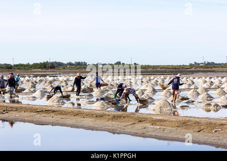 Workers gathering sea salt from the salt pans, Petchaburi province, Thailand Stock Photo