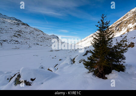 Winter in Adamello Park,province of Brescia, Italy Stock Photo