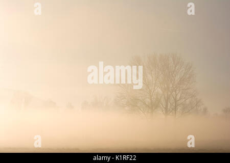 Atmosphere on the banks of the river Adda, province of Lecco, Airuno, Italy. Stock Photo