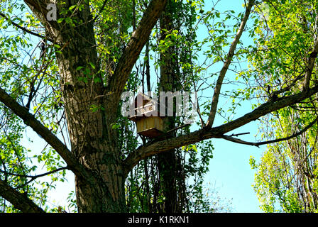 beautiful birdhouse in a Moscow Park in spring, Crimean embankment Stock Photo