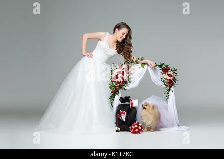 Beautiful bride young woman in white gown standing with spitz wedding couple under flower arch over grey background. dog bride in skirt and veil. groo Stock Photo