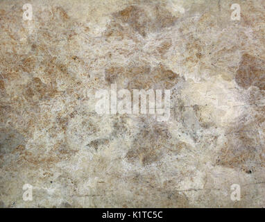 Gray and white rough natural stone surface grunge background texture close up Stock Photo
