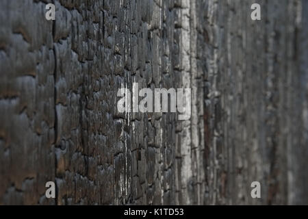 Burned boards, vertical texture Stock Photo