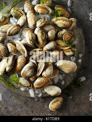 Raw whole clams on crushed ice sitting on an antique silver platter Stock Photo