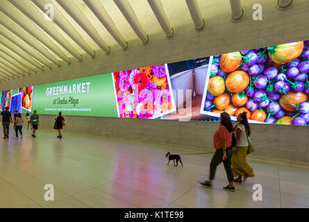 The underground walkway connecting Brookfield Place and the Oculus and the Transportation Hub Stock Photo