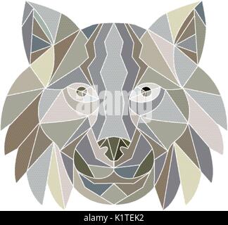 Illustration of a Lynx Cat wild cat Head viewed from front done in Low Polygon style. Stock Vector