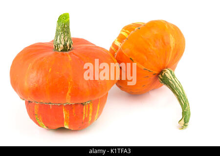 Two decorative pumpkins on white background. Autumn season Stock Photo