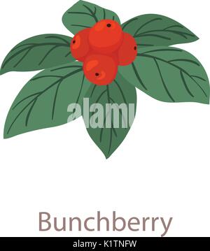Bunchberry icon, isometric 3d style Stock Vector