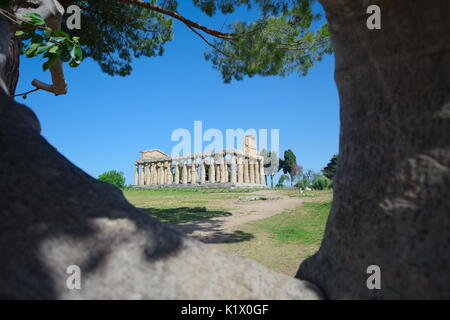 The temple of Athena. (also temple of Ceres). Archeological site of Paestum. Stock Photo