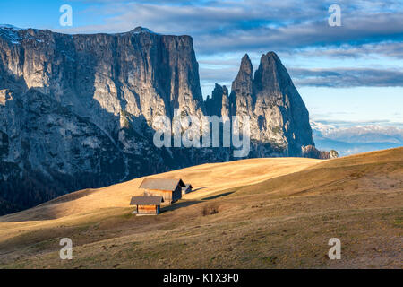 Europe, Italy, South Tyrol, Alpe di Siusi - Seiser Alm. Traditional mountain huts on the Alpe di Siusi meadows, in the background the Sciliar, Dolomit Stock Photo