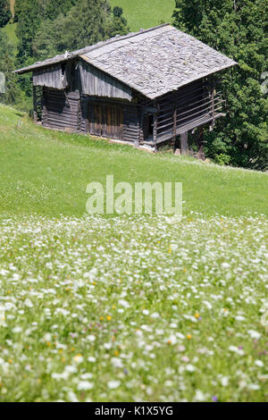 Ancient barn in the lawns of the lesachtal, Hermagor District, Carinthia, Austria Stock Photo