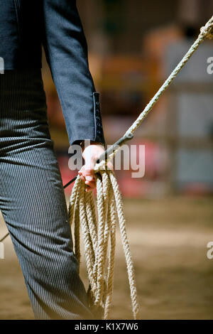 Equestrian test of morphology to pure Spanish horses, Spain Stock Photo