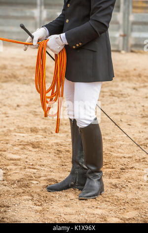 Equestrian test of morphology to pure Spanish horses, Detail of whip and ropes for dressage horses, Spain Stock Photo