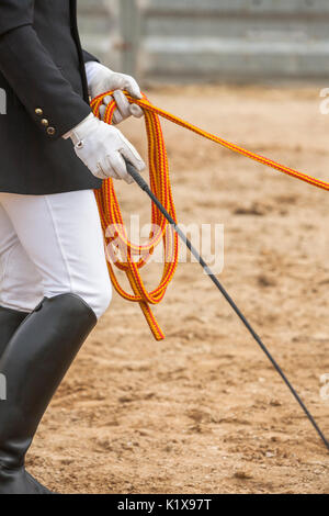 Equestrian test of morphology to pure Spanish horses, Detail of whip and ropes for dressage horses, Spain Stock Photo