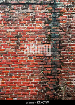 New Orleans, LA USA - June 1, 2017  -  Old Red Brick Wall in the French Quarter Stock Photo