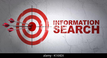 Data concept: target and Information Search on wall background Stock Photo