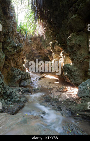 Andersons Dale Trail, Christmas Island, Australia Stock Photo