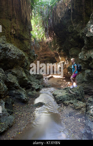 Andersons Dale Trail, Christmas Island, Australia Stock Photo