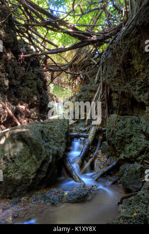 Andersons Dale Trail, Christmas Island, Australia Stock Photo