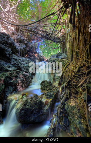 Andersons Dale Trail, Christmas Island, Australia Stock Photo