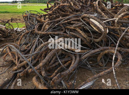 Rusty cacles on a green field Stock Photo