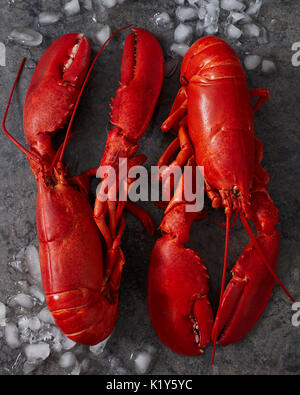 -Two red lobsters facing opposite directions on a mottled gray surface scattered with crushed ice Stock Photo