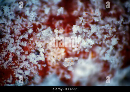 Background, macro. Thin layer of melting snow on stone. Spring closeup Stock Photo