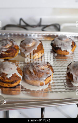 Fresh, iced cinnamon rolls on a baking sheet Stock Photo