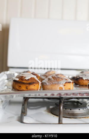 Fresh, iced cinnamon rolls on a baking sheet Stock Photo