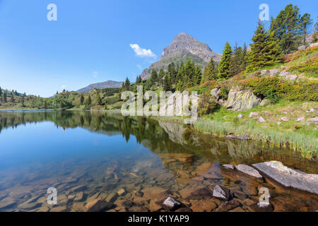 Europe, Italy, Trentino, Trento, Lagorai chain, the Colbricon lakes in summer with the mountain reflected on the water Stock Photo