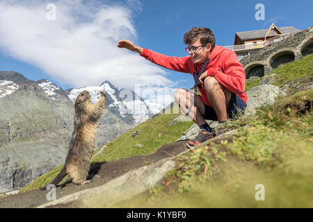 Man with an alpine marmot in front of Großglockner, High Tauern National Park, Carinthia, Austria