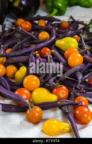 Vertical photo of colorful tomatoes, purple beans, bell peppers, and eggplant on a white surface Stock Photo