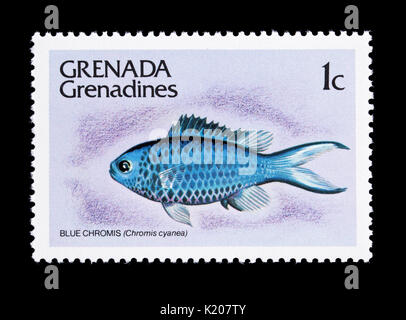 Postage stamp from Grenada Grenadines depicting a blue chromis (Chromis cyanea) Stock Photo