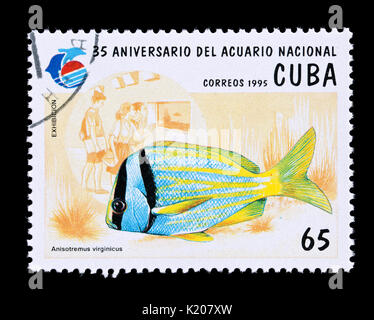 Postage stamp from Cuba depicting a porkfish (Anisotremus virginicus), 35'th anniversary of the National Aquarium Stock Photo