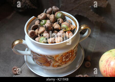 retro style tea set full oak acorns decorated with dry brown leaves and flowers, fir cones and juicy pink apples Stock Photo