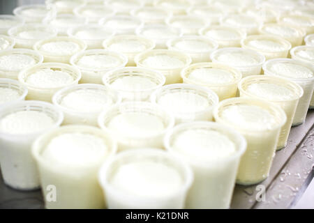 Close up view of freshly made cottage cheese in plastic cups Stock Photo