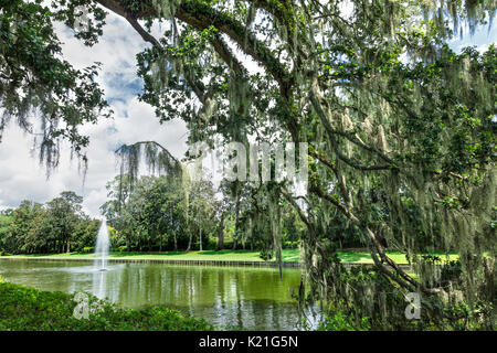 A view of the gardens at Middleton Place plantation in Charleston, South Carolina, USA. They were created in 1741; the oldest landscaped gardens in th Stock Photo