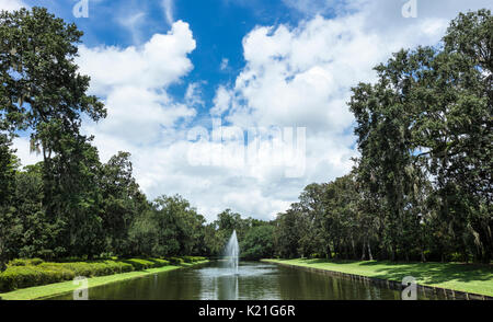 A view of the gardens at Middleton Place plantation in Charleston, South Carolina, USA. They were created in 1741; the oldest landscaped gardens in th Stock Photo